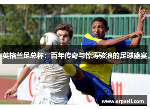 英格兰足总杯：百年传奇与惊涛骇浪的足球盛宴