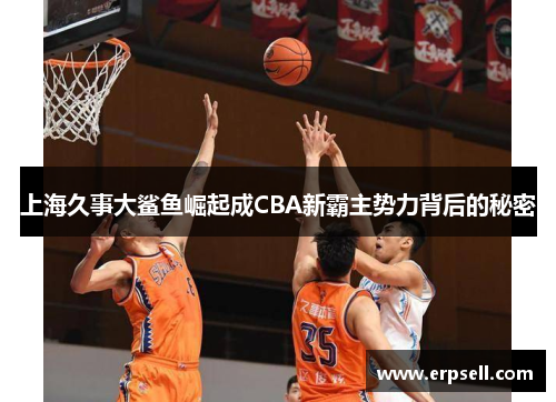 上海久事大鲨鱼崛起成CBA新霸主势力背后的秘密